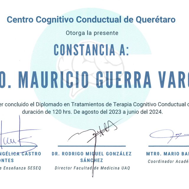Ampliar imagen: certificate 8