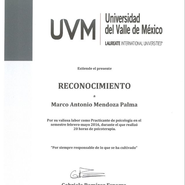 Ampliar imagen: certificate 2