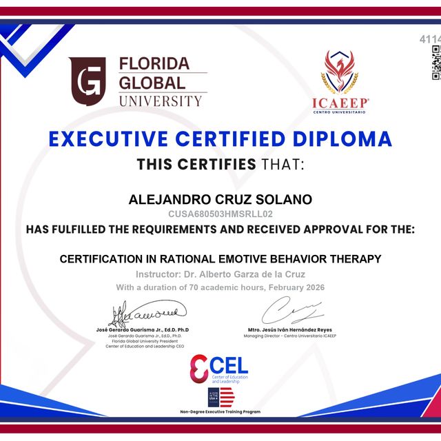 Ampliar imagen: certificate 4
