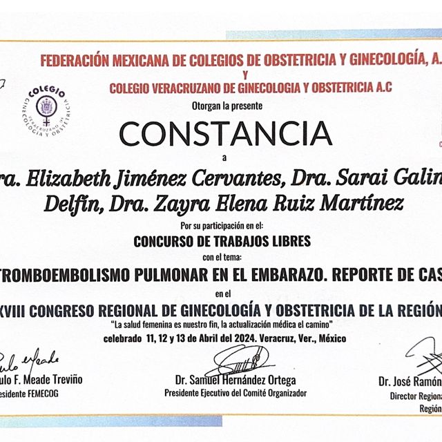 Ampliar imagen: certificate 3