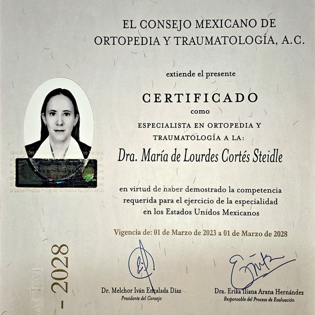 Ampliar imagen: certificate 1