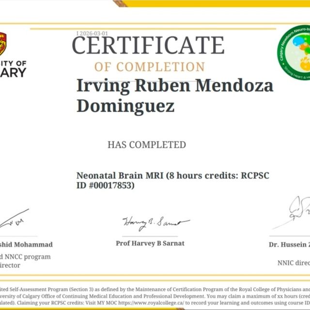 Ampliar imagen: certificate 1