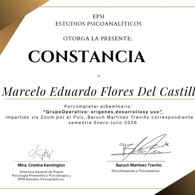Ampliar imagen: certificate 5
