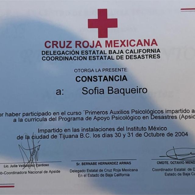 Ampliar imagen: certificate 15