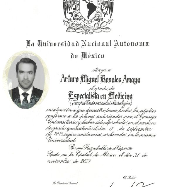 Ampliar imagen: certificate 3