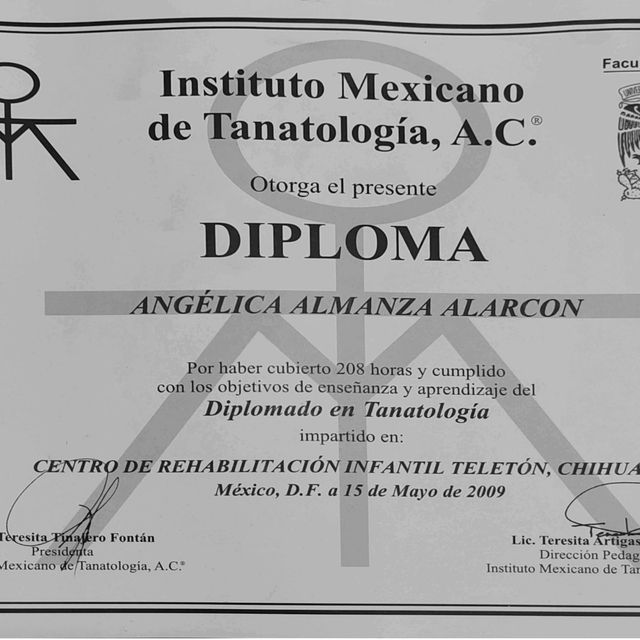 Ampliar imagen: certificate 5