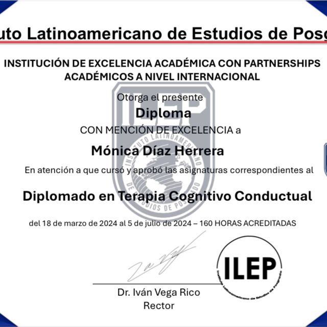 Ampliar imagen: certificate 3