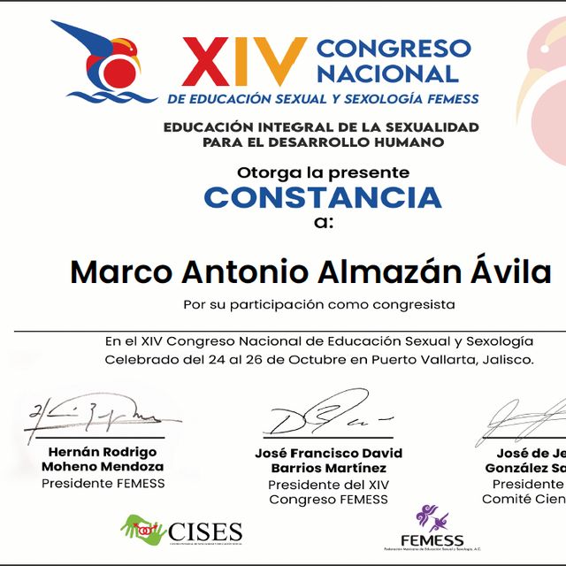 Ampliar imagen: certificate 4