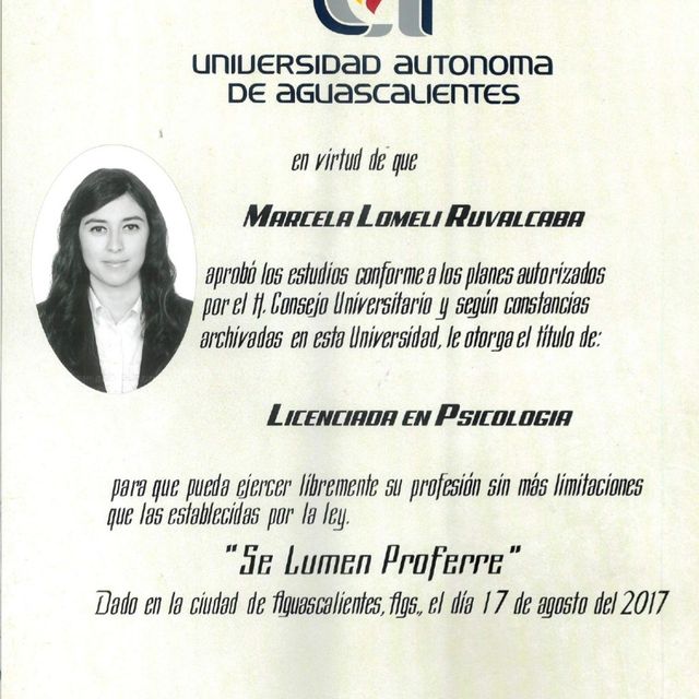 Ampliar imagen: certificate 2