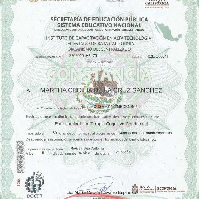 Ampliar imagen: certificate 3