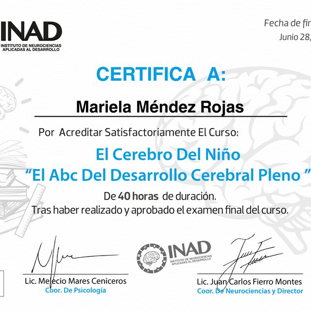 Ampliar imagen: certificate 4