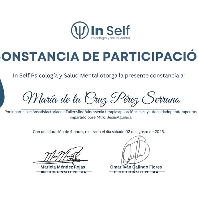 Ampliar imagen: certificate 5