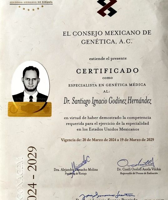 Ampliar imagen: certificate 5