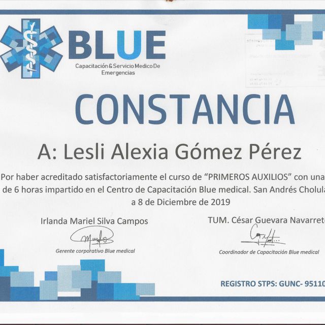 Ampliar imagen: certificate 13