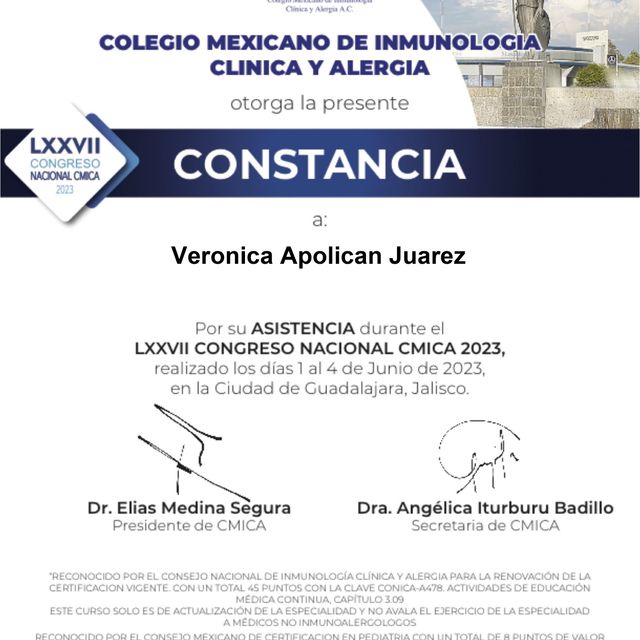 Ampliar imagen: certificate 4
