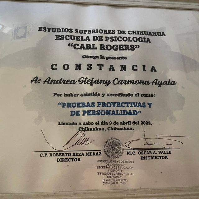 Ampliar imagen: certificate 3
