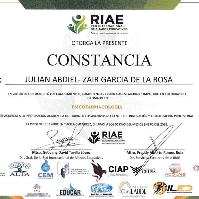 Ampliar imagen: certificate 4
