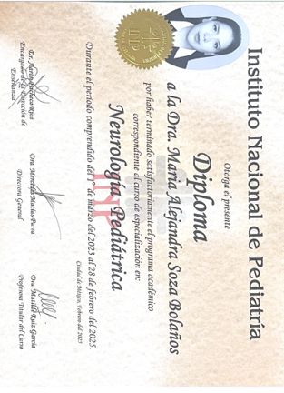 Ampliar imagen: certificate 7