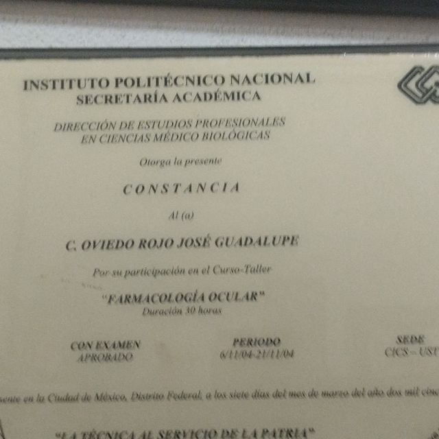 Ampliar imagen: certificate 4