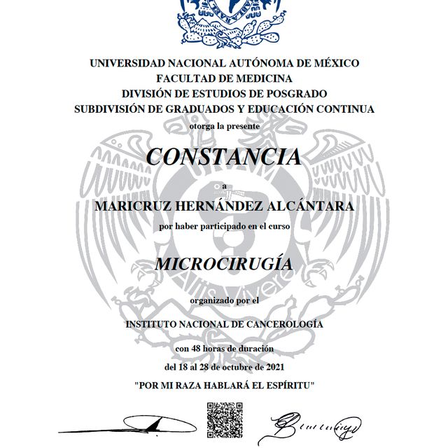 Ampliar imagen: certificate 3