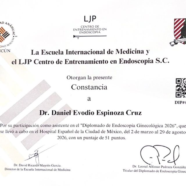 Ampliar imagen: certificate 5