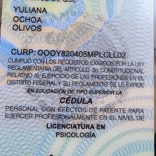 Ampliar imagen: certificate 2