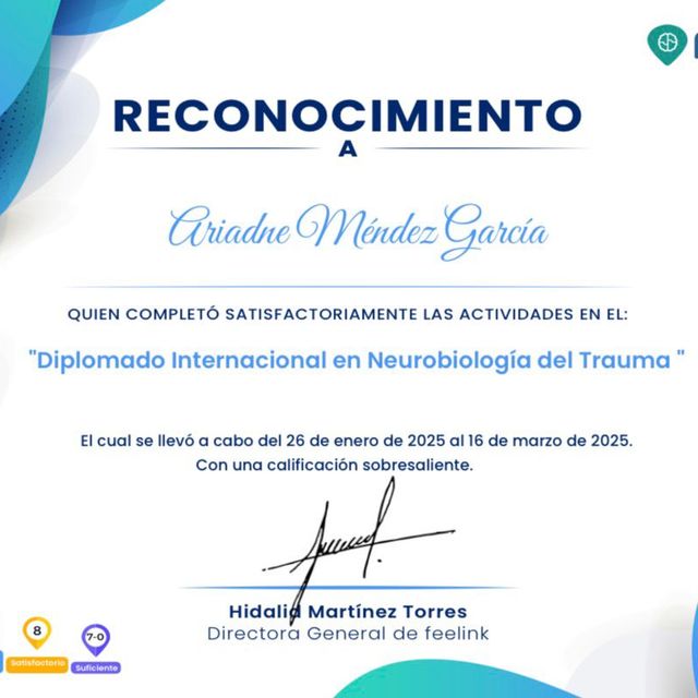 Ampliar imagen: certificate 3