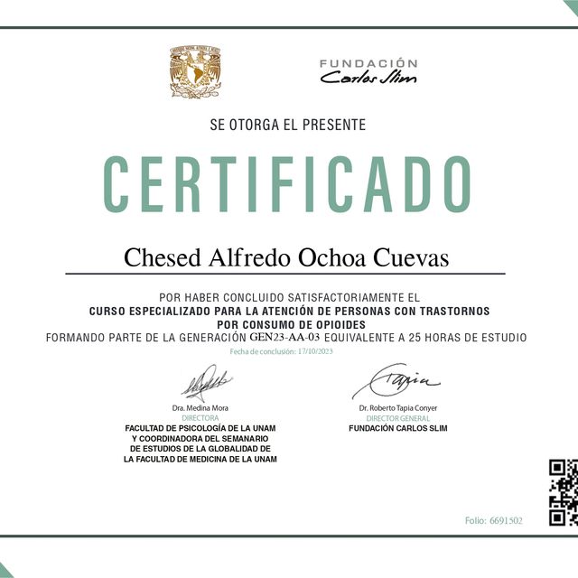 Ampliar imagen: certificate 1