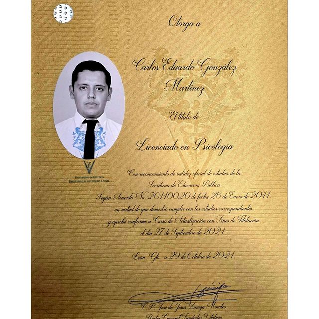 Ampliar imagen: certificate 2