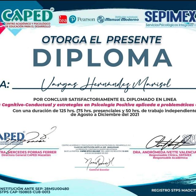 Ampliar imagen: certificate 6