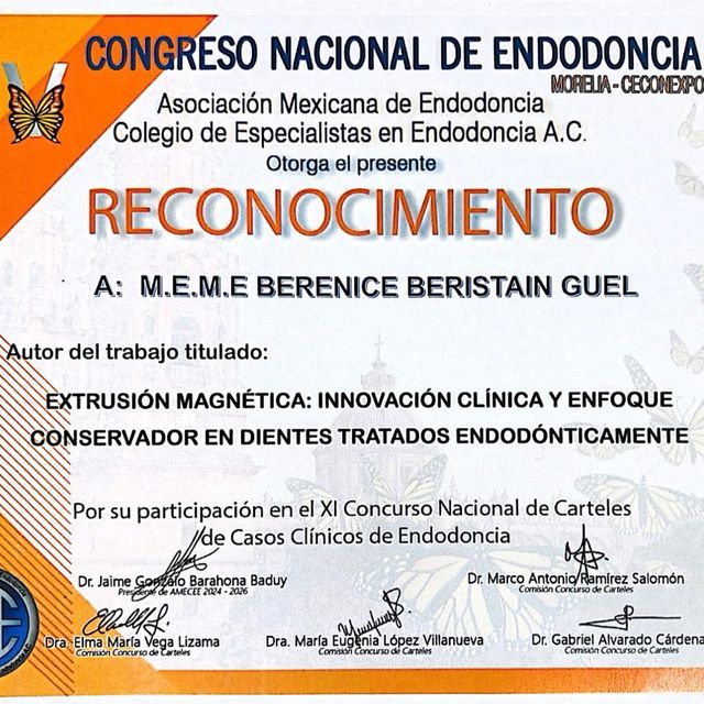 Ampliar imagen: certificate 9