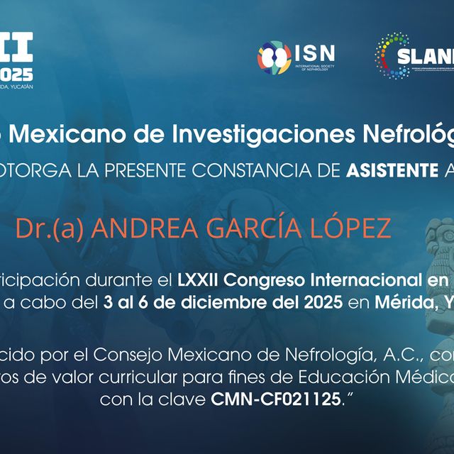 Ampliar imagen: certificate 4