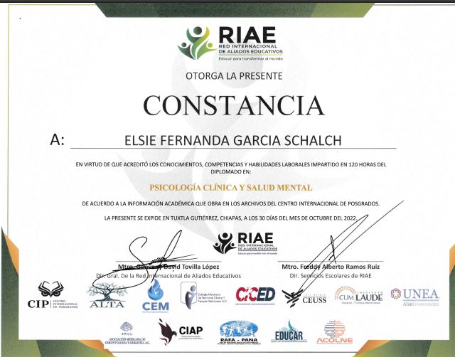 Ampliar imagen: certificate 3