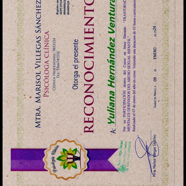 Ampliar imagen: certificate 21