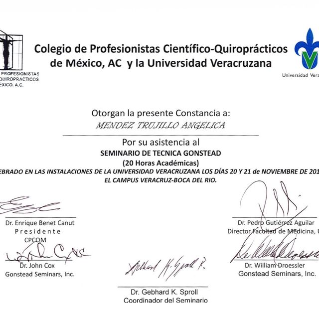 Ampliar imagen: certificate 23