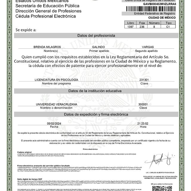 Ampliar imagen: certificate 2