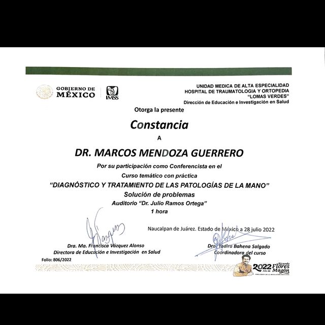 Ampliar imagen: certificate 13