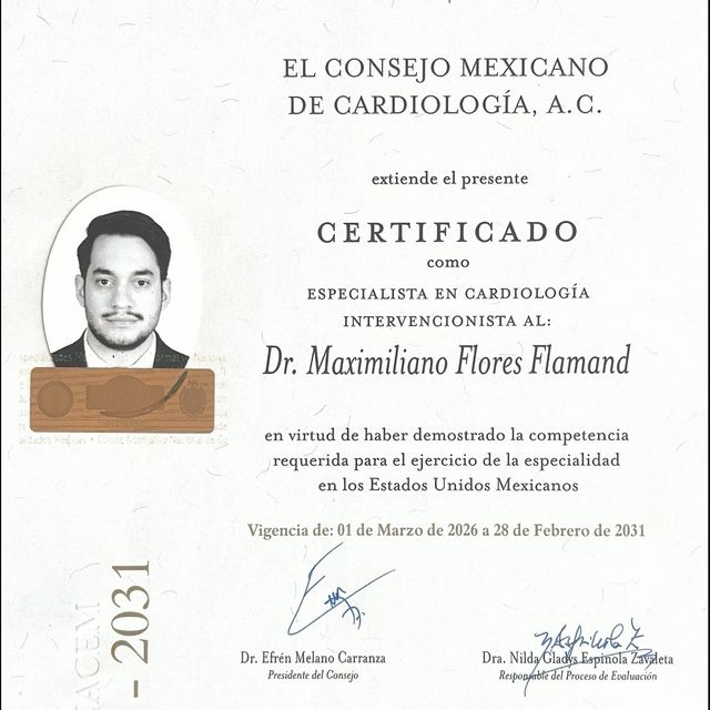 Ampliar imagen: certificate 1