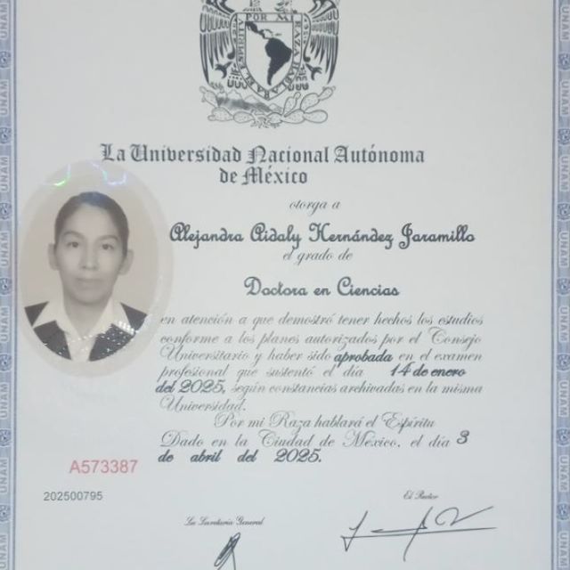 Ampliar imagen: certificate 2