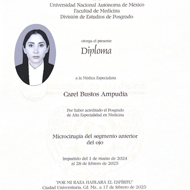 Ampliar imagen: certificate 3