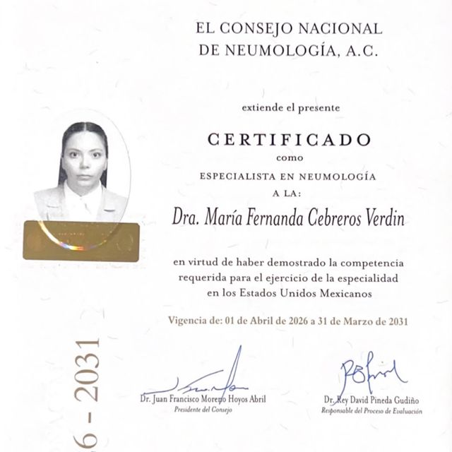 Ampliar imagen: certificate 1