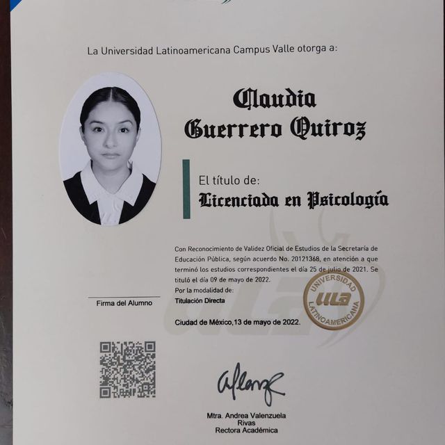 Ampliar imagen: certificate 1
