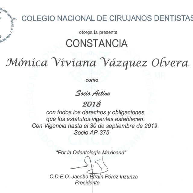 Ampliar imagen: certificate 21