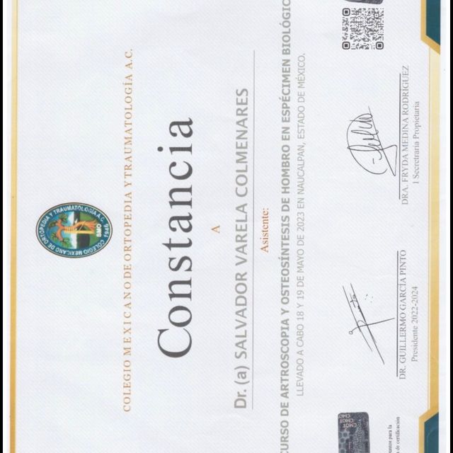 Ampliar imagen: certificate 29