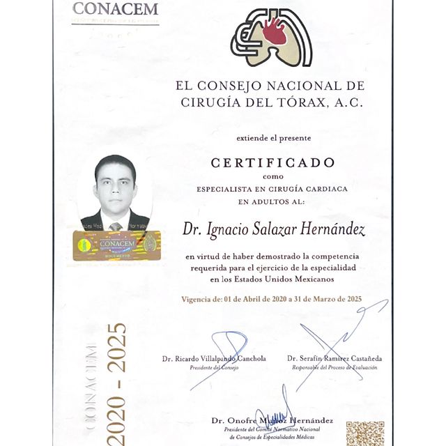 Ampliar imagen: certificate 2