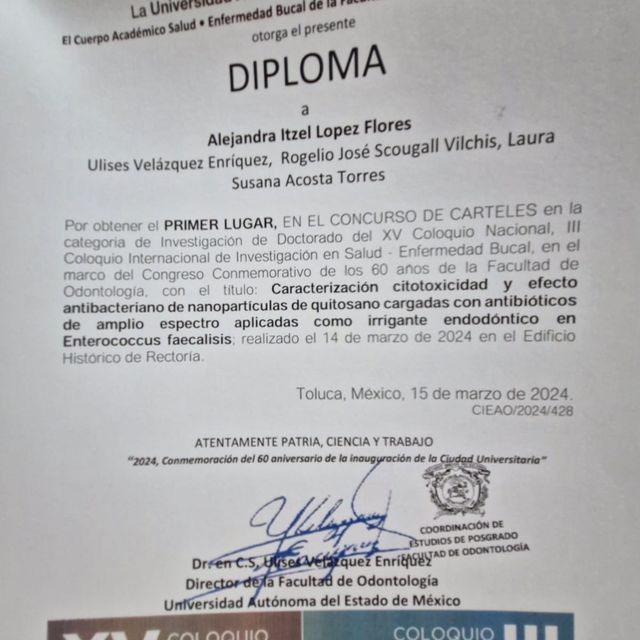 Ampliar imagen: certificate 3