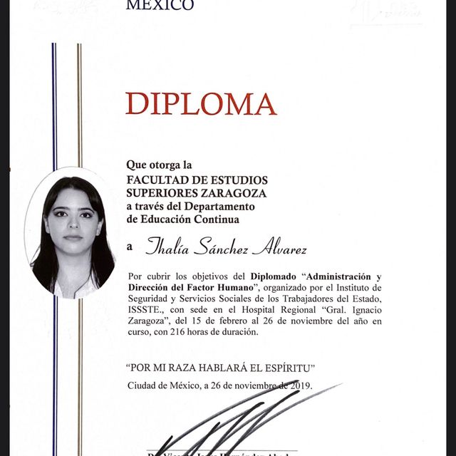 Ampliar imagen: certificate 5