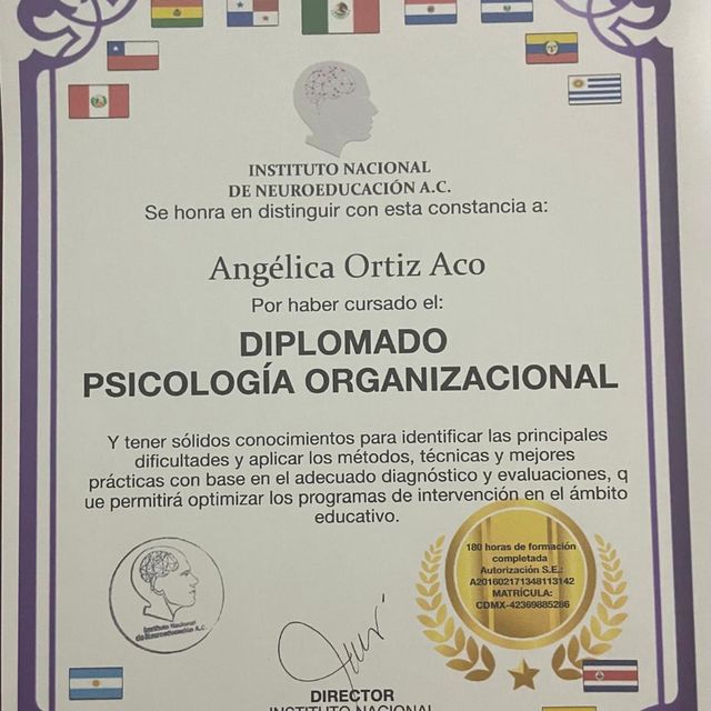 Ampliar imagen: certificate 6