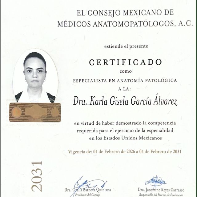 Ampliar imagen: certificate 1