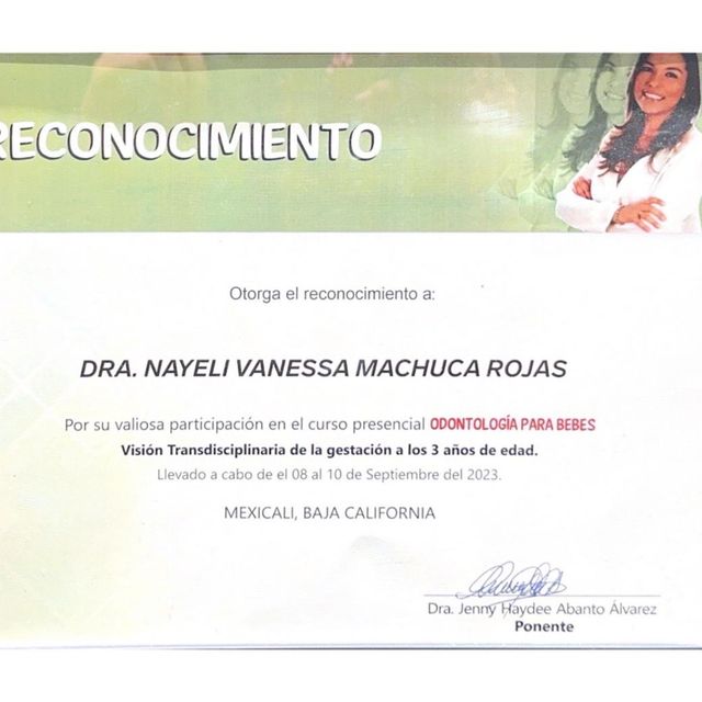 Ampliar imagen: certificate 4